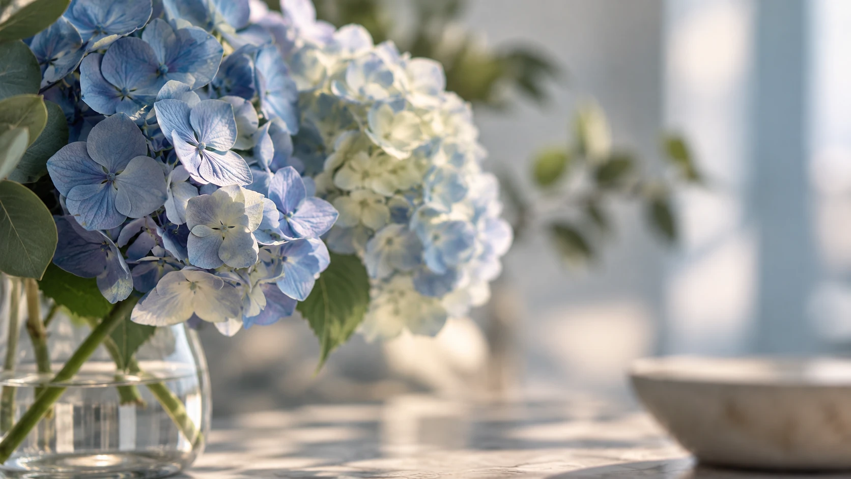 Blue hydrangeas in soft natural light